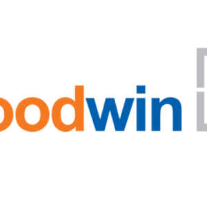Лого окна goodwin